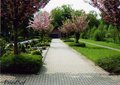 02_Friedhof