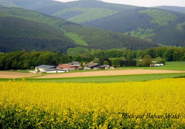 Blick auf Balver Wald